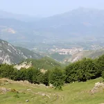 Sabriu *