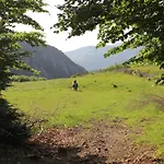 Sabriu Πανσιόν *