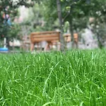 Sabriu *