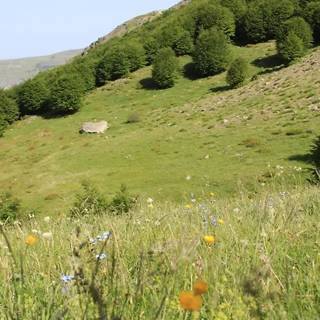 Sabriu Affittacamere Rabdisht