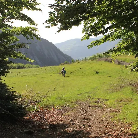 Sabriu Affittacamere *