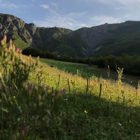 Гостевой дом Sabriu *