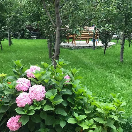 Sabriu Гостевой дом Rabdisht