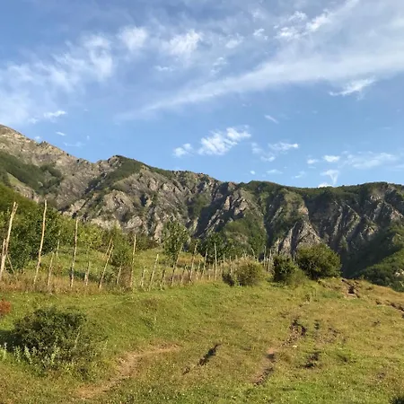 Πανσιόν Sabriu *