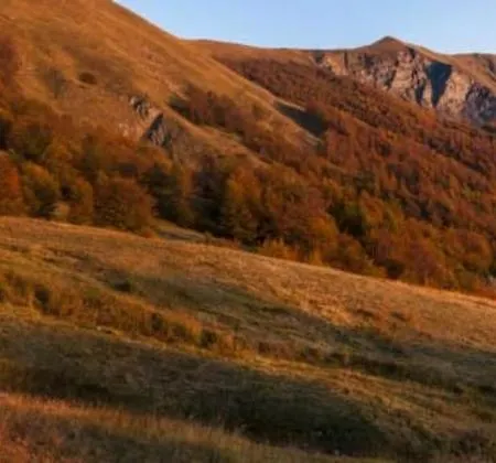 Sabriu Πανσιόν