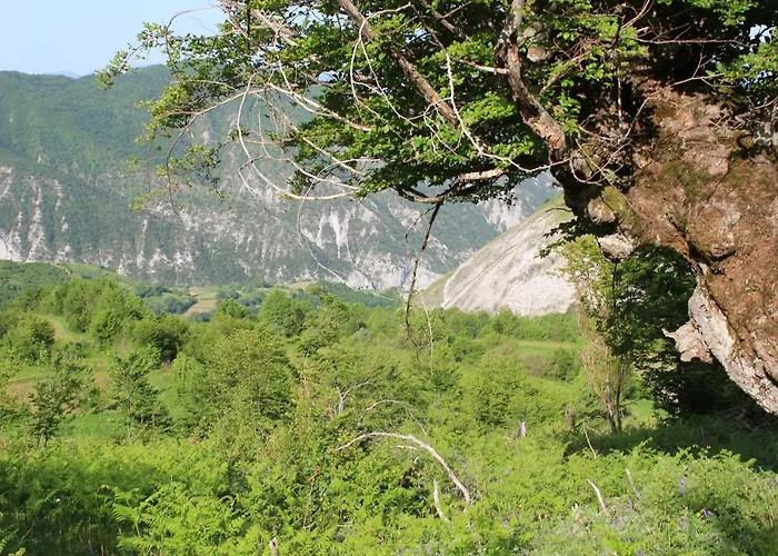 Sabriu Maison d'hôtes