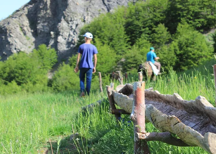 Maison d'hôtes Sabriu *