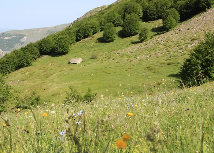 Sabriu Maison d'hôtes Rabdisht