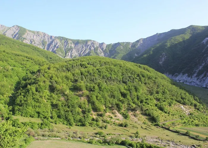 Maison d'hôtes Sabriu *