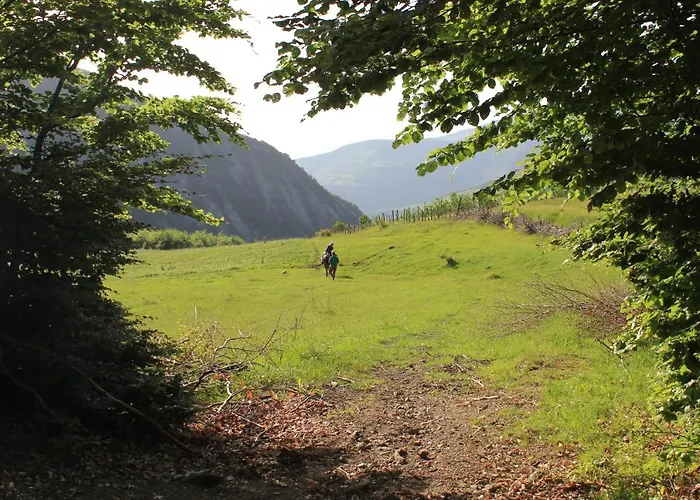 Sabriu Maison d'hôtes *
