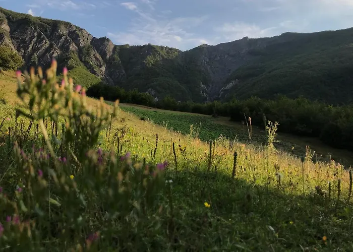 Maison d'hôtes Sabriu *