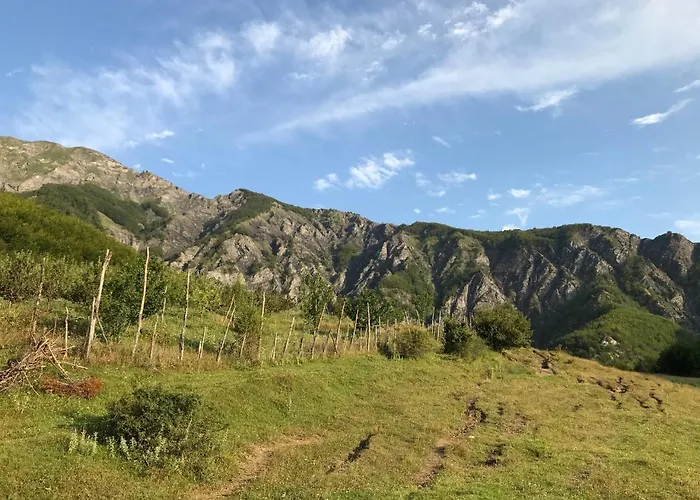 Maison d'hôtes Sabriu *